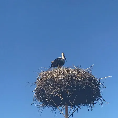Gosciniec Twoje Mazury Nad Jeziorem Sniardwy Tuz Obok Plazy