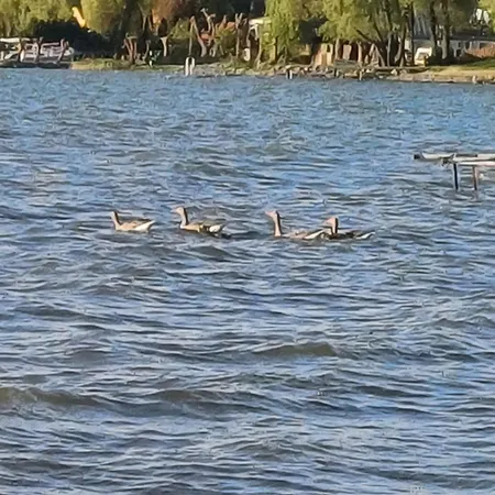 Gosciniec Twoje Mazury Nad Jeziorem Sniardwy Tuz Obok Plazy 住宿加早餐酒店 新古提