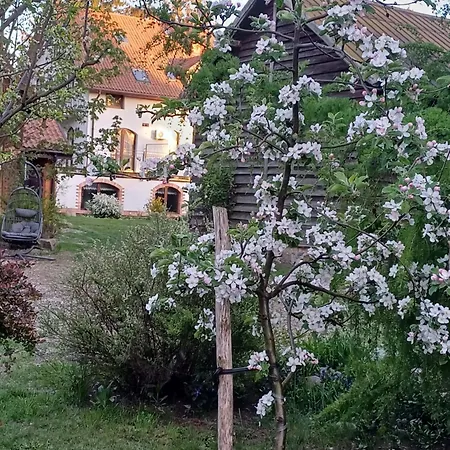 Gosciniec Twoje Mazury Nad Jeziorem Sniardwy Tuz Obok Plazy 住宿加早餐酒店 4*