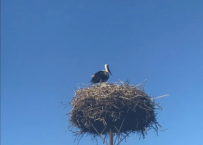 Gosciniec Twoje Mazury Nad Jeziorem Sniardwy Tuz Obok Plazy