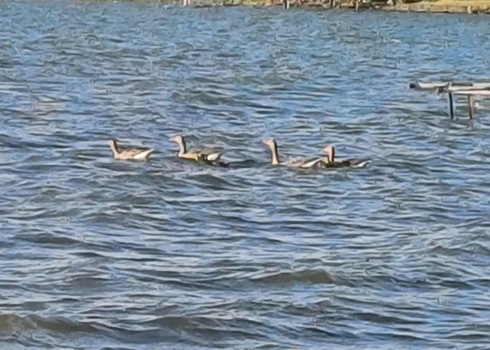 Gosciniec Twoje Mazury Nad Jeziorem Sniardwy Tuz Obok Plazy Bed & Breakfast Nowe Guty