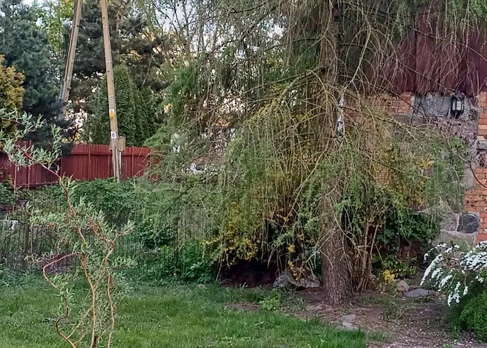 Gosciniec Twoje Mazury Nad Jeziorem Sniardwy Tuz Obok Plazy Bed & Breakfast Nowe Guty